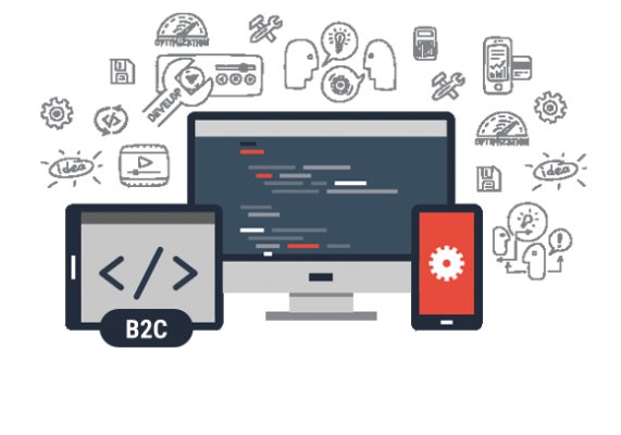 B2C Portal Development Services Lahore Sheikhupura